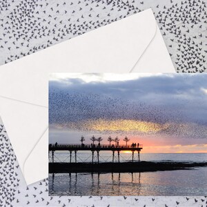Aberystwyth Starling Murmurationen bei Sonnenuntergang - Blanko Grußkarten für jeden Anlass