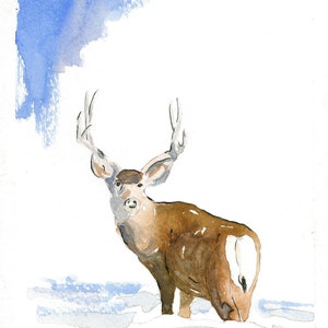 Mule Deer in the Snow, South Fork, Colorado