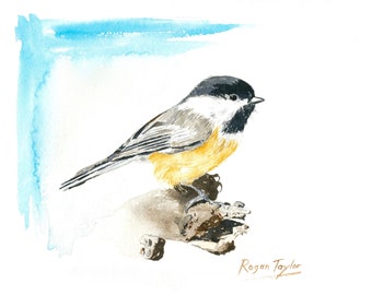 The Black-Capped Chickadee