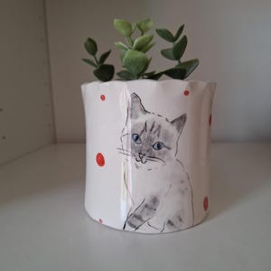 Könnte beinhalten: Weißer Keramik-Pflanztopf mit handgezeichneter Illustration einer Katze mit blauen Augen. Der Topf hat rote Tupfen und enthält eine kleine grüne Pflanze. Ein dekorativer Artikel für die Inneneinrichtung.