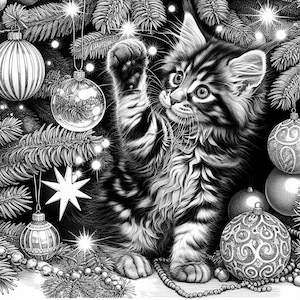 Chats maine coon et leurs aventures des Fêtes (100 illustrations très détaillées | PNG)