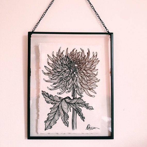 Original Ink Chrysanthemum Flower Drawing In Glass Frame Etsy
