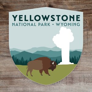 Bosque Petrificado Del Parque Nacional De Yellowstone Estados Unidos A