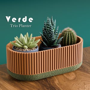 May include: A trio planter with three succulents. The planter is a light brown color with vertical slats and a green base. The text "Verde Trio Planter" is in white letters at the top.