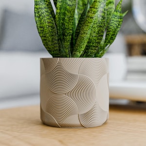 May include: A beige, cylindrical planter with a repeating, fan-like pattern. The planter holds a snake plant with long, green leaves with yellow-green variegation. The planter sits on a wooden surface, with a blurred background.
