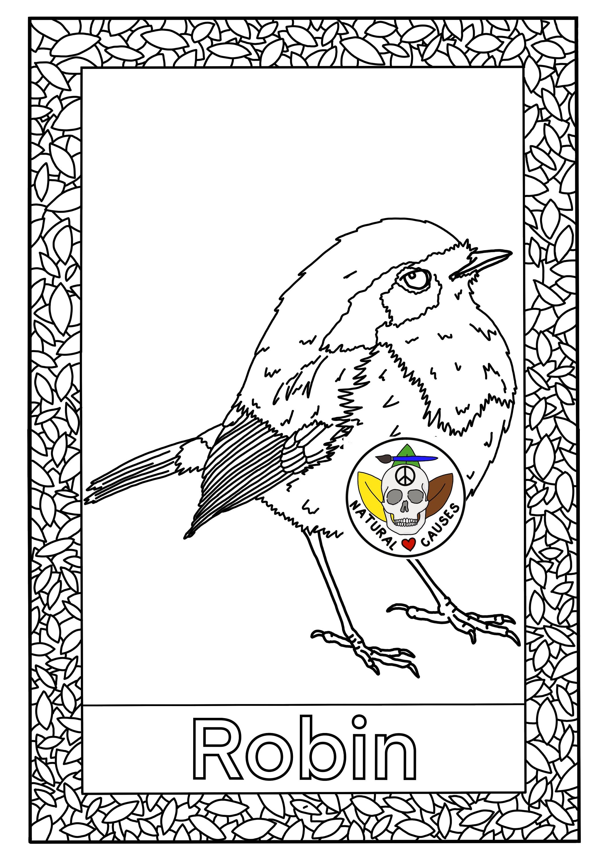 British Birds Colouring Pages Set Etsy