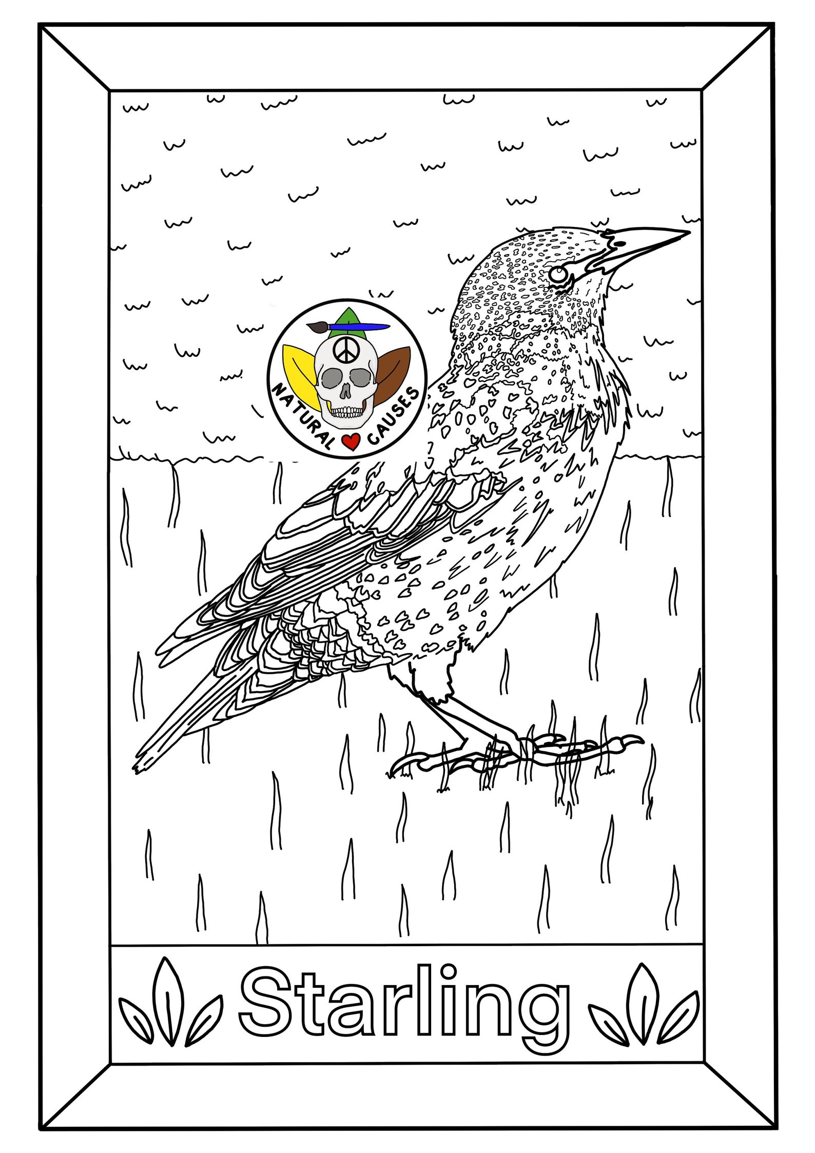 British Birds Colouring Pages Set | Etsy