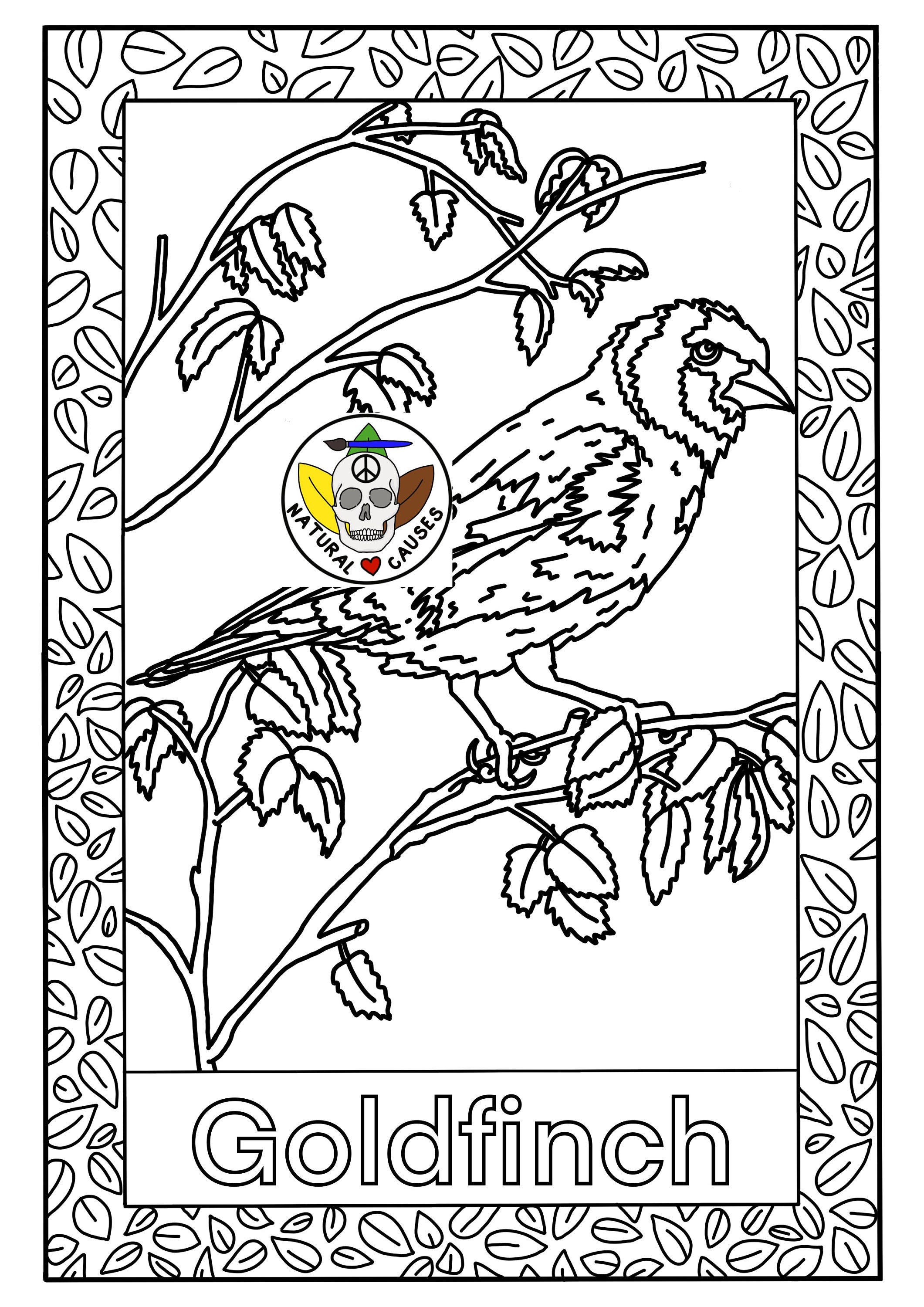 British Birds Colouring Pages Set | Etsy