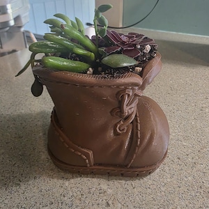 May include: A brown boot-shaped planter filled with various succulents. The planter has detailed stitching and lace-up design. The succulents include green, tubular leaves and deep red, rosette-shaped plants. The planter sits on a speckled countertop.