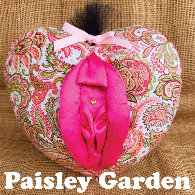 Vulva Pillows 7 Styles Vagina Educational Women Etsy