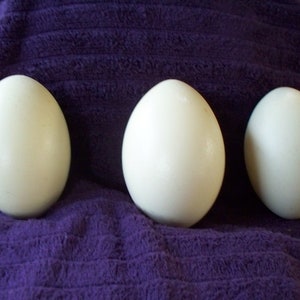 May include: Three large, off-white eggs are arranged in a row against a textured, purple background. The eggs are oval-shaped and have a smooth surface. The lighting creates subtle highlights and shadows, giving them a three-dimensional appearance.