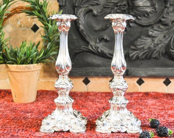 Antique 800 Silver Shabbat Candlesticks - Pair of Antique German Silver Candlesticks - 13 Loth German Candlesticks - Pair of Bobeches