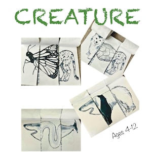 May include: A coloring book titled "Create a Creature" with illustrations of mixed-up animals. The cover features the text "Create a CREATURE" in green, with the text "Ages 4-12" and "A silly, scary, laugh-out-loud coloring book".