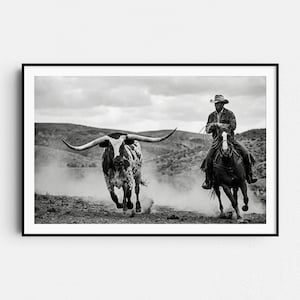Pode incluir: Fotografia a preto e branco de um cowboy a cavalo a laçar um boi longhorn. O boi está a correr, e o cowboy está a segui-lo, com uma corda na mão. A cena passa-se num ambiente exterior empoeirado, com colinas ao fundo.