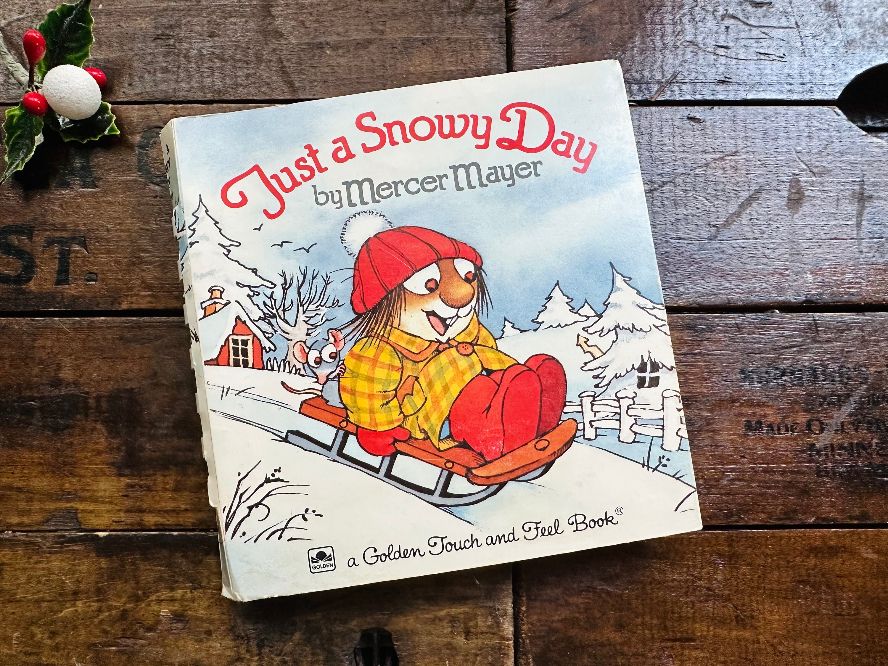 Just A Snowy Day by Mercer Mayer ~ A Golden Touch & Feel