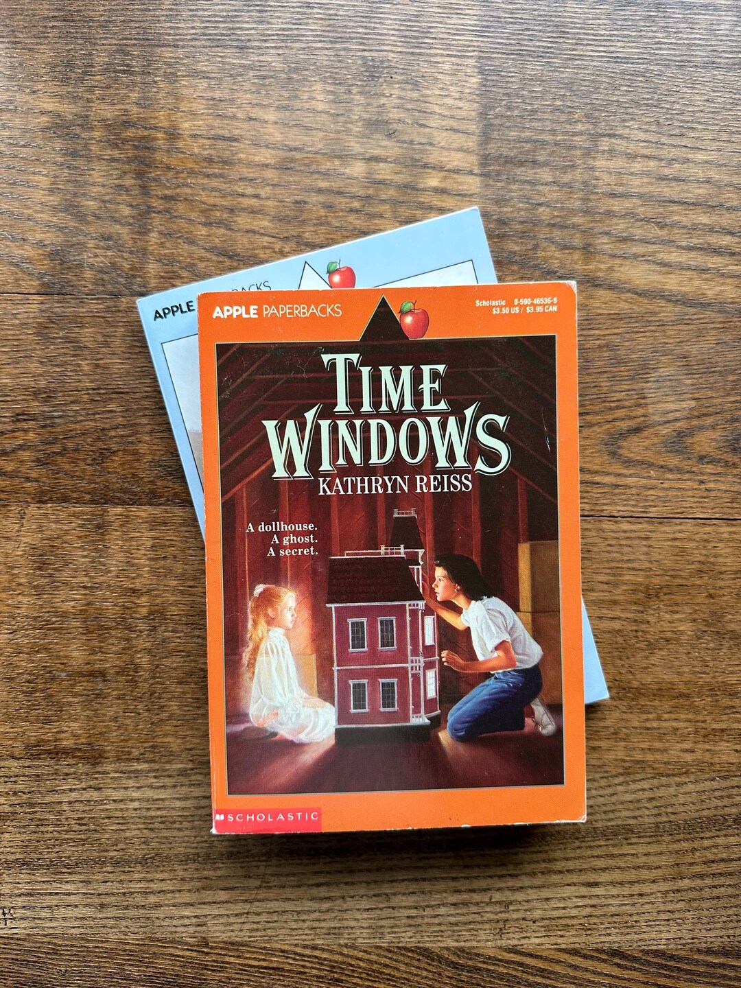 Time Windows by Kathryn Reiss, Apple Paperbacks Vintage 1991 A