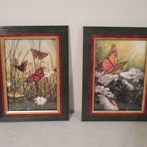 butterfly print wall hangings, framed hummingbird print, framed prints set of 2, hummingbird print included