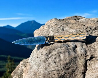 Opalized Glass Knife, Cholla Cactus Handle, Native American Style