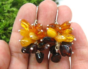 Natural multi color Amber earrings Blatic amber jewelry honey brown butterscotch amber cluster drop earrings womens eco fashion gift