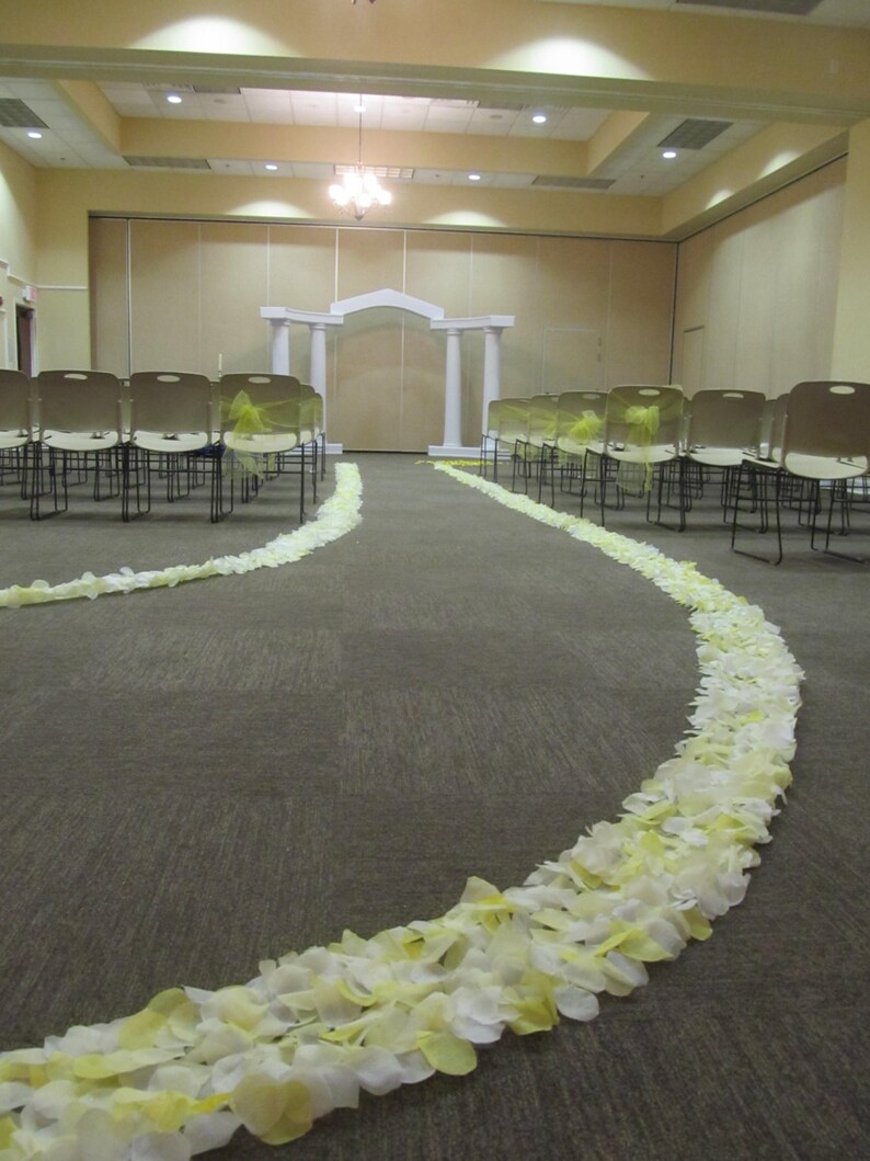 Custom Rose Petal Wedding Aisle Runner Border Etsy