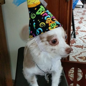 Pet Happy Birthday Hat for Dog or Cat Sizes XS, S/M, L, XL Custom Made