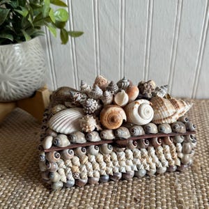 May include: A rectangular box covered in a variety of natural seashells. The lid features larger, diverse spiral and cone-shaped shells in shades of tan, brown, and white, while the sides are densely decorated with rows of small, uniform gray shells.