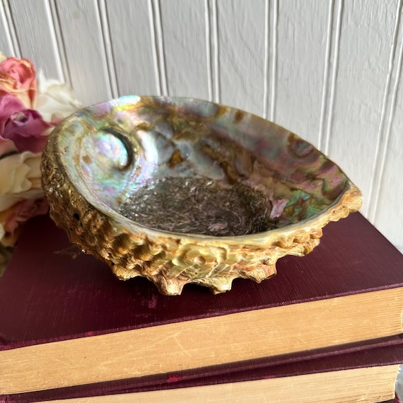 Abalone Shell/Shell Soap Dish/Trinket/Smudging Bo… - image 1