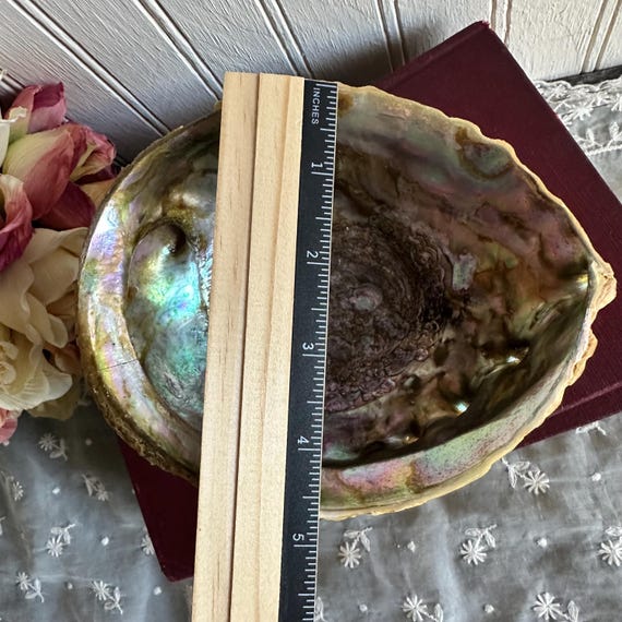 Abalone Shell/Shell Soap Dish/Trinket/Smudging Bo… - image 10