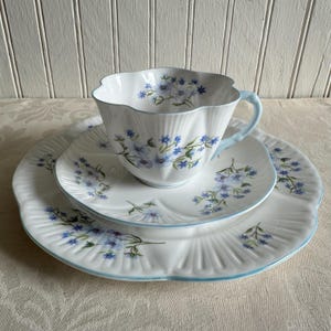 Shelley Dainty Blue Trio - Etsy