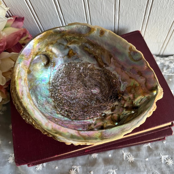 Abalone Shell/Shell Soap Dish/Trinket/Smudging Bo… - image 2