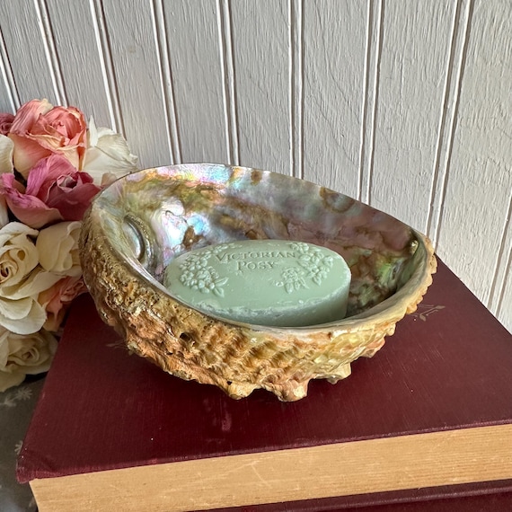 Abalone Shell/Shell Soap Dish/Trinket/Smudging Bo… - image 3