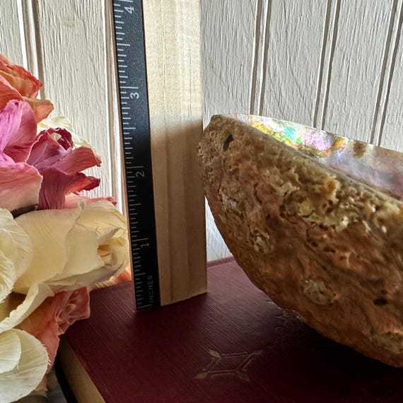 Abalone Shell/Shell Soap Dish/Trinket/Smudging Bo… - image 11