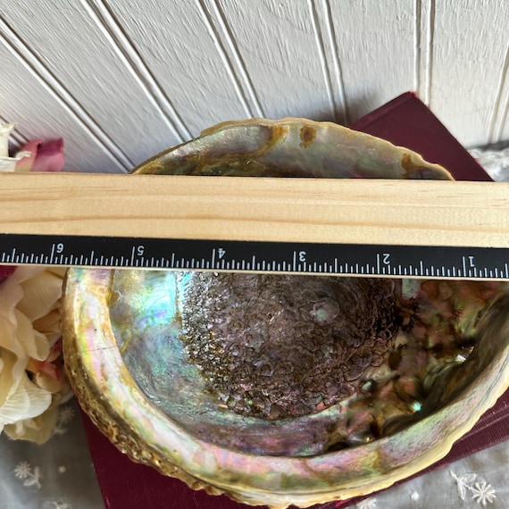 Abalone Shell/Shell Soap Dish/Trinket/Smudging Bo… - image 9