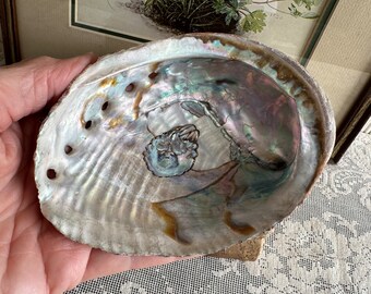 Abalone Shell/Shell Soap Dish/Trinket