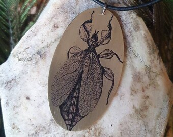 Collar de insectos colgante grabado latón joyería-hoja caminante, collar, joyería de brujas, ocultismo, gótico, colgante ovalado, punk, fin de los tiempos