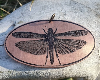 Colgante de collar de insectos grabado en saltamontes de latón o cobre, collar, insectos, joyería oculta, joyería de brujas, gótico