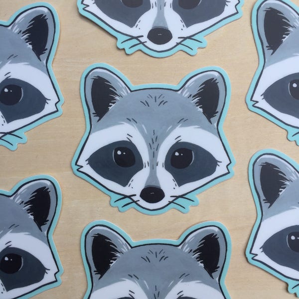 Cute Raccoon Vinyl Stickers