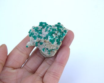 Dioptase Specimen / Congo Dioptase / 60 Grams