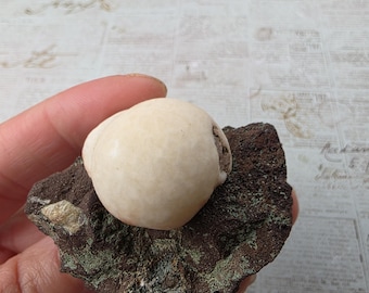 Thomsonite Specimen, India, 52 Grams