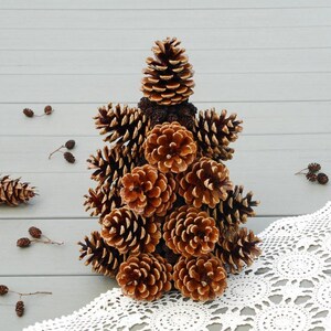 Small pine cone Christmas tree table top tree holiday decor nature Christmas decor mini xmas tree image 7