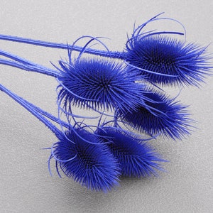 Blue bouquet dry plants floral arrangements vase filler long lasting botanical décor royal blue branches