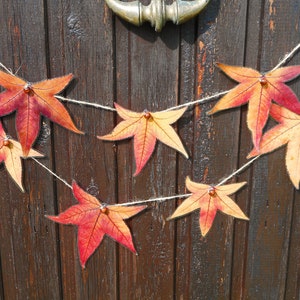 Fall leaves indoor garland autumn decorations orange natural leaves garland fall birthday décor maple leaf banner autumn decoration hanging