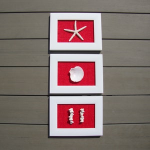Op de afbeelding: Drie rechthoekige witte lijsten verticaal gerangschikt, elk met een felrode stoffen achtergrond. De bovenste lijst bevat een witte zeester, de middelste lijst een witte schelp en de onderste lijst twee kleine witte stukjes koraal.