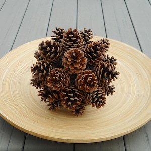 May include: A decorative arrangement of brown pine cones clustered together, presented on a round, light-colored wooden tray. The tray sits on a gray, slatted surface, creating a natural, rustic aesthetic. The pine cones are detailed and textured.