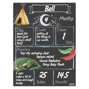 Cohas Monthly Baby Milestone Board with Fantasy Land Theme, Reusable Chalkboard Style Surface, Two Sizes, Optional Chalk Markers