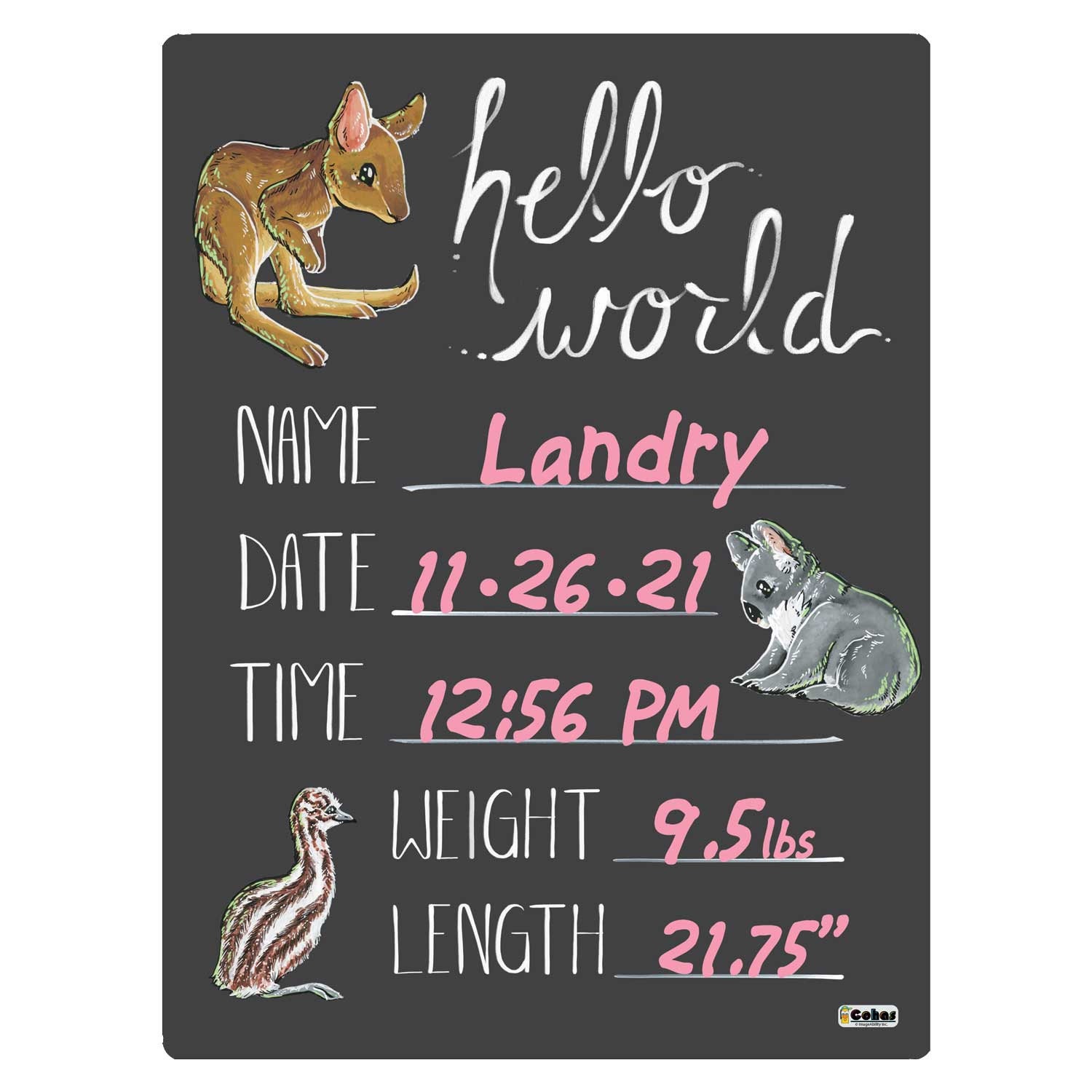 Chalkboard Cleaner Goat Theme Newborn Baby Announcement Chalkboards Chalk  Board Cleaner, image size:1500x1500