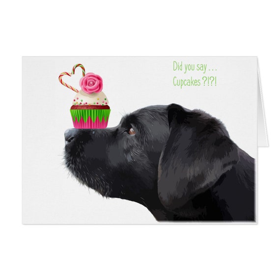 Black Lab Card Dog Card JRDUSC2B All Pet Photo Pillow 5MHAL Pet Memorial