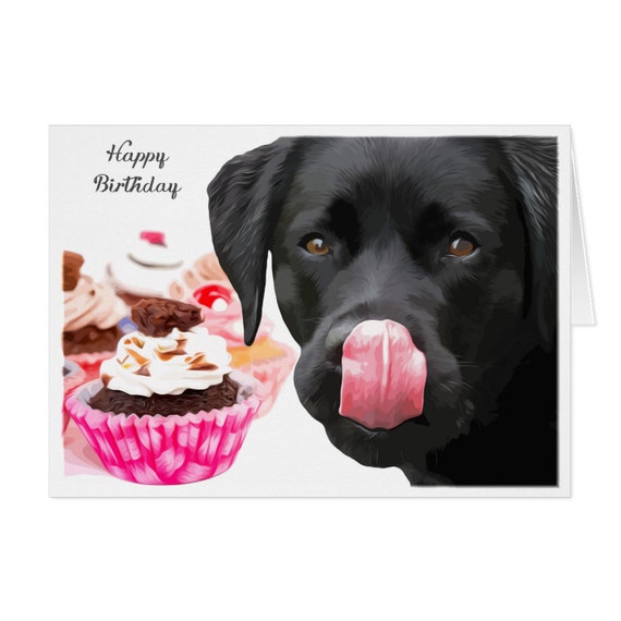 black labrador birthday