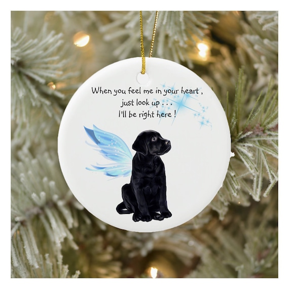 dog dynasty hulk puppies