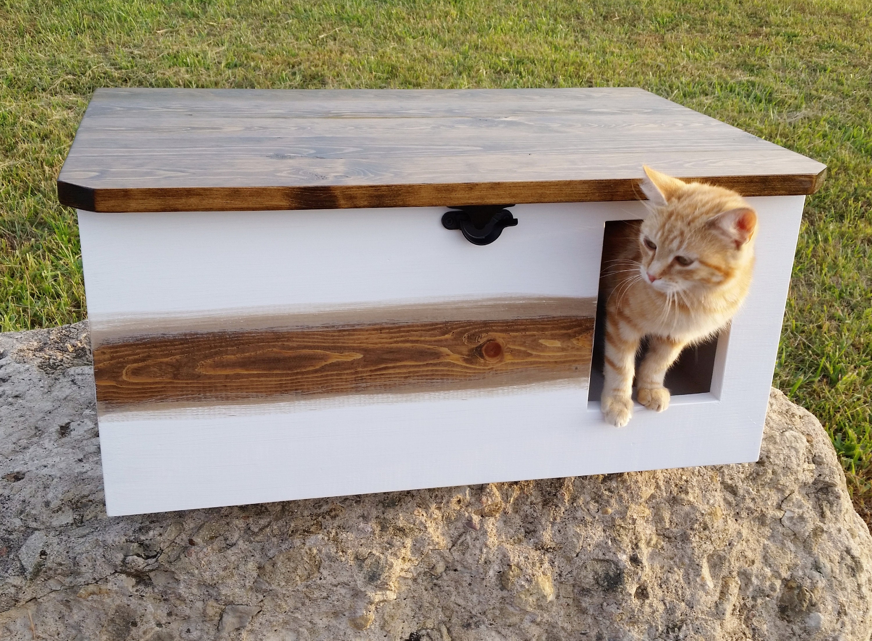 Casa de gato resistente a la intemperie para gatos salvajes, casa de madera  para gatos de 2 pisos con puerta de escape